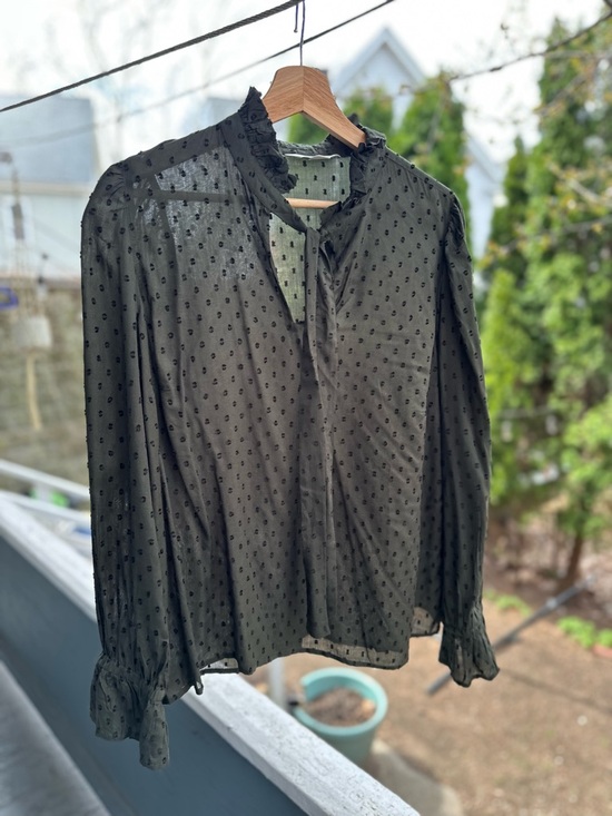 Garnet Hill Tops - Garnet Hill Black Swiss Dot Sheer Blouse